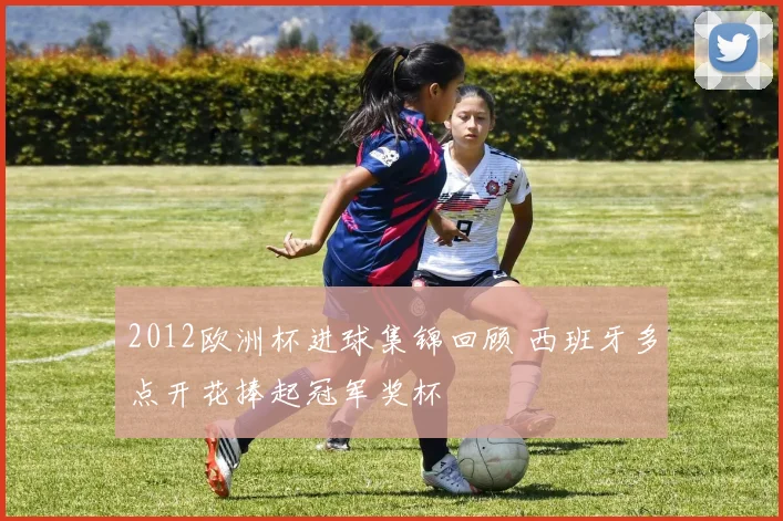 2012欧洲杯进球集锦回顾 西班牙多点开花捧起冠军奖杯