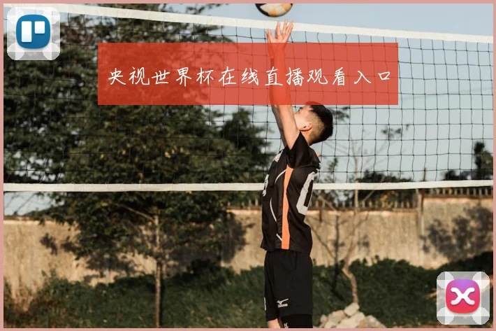 央视世界杯在线直播观看入口