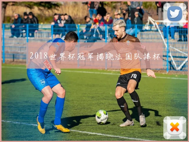 2018世界杯冠军揭晓法国队捧杯