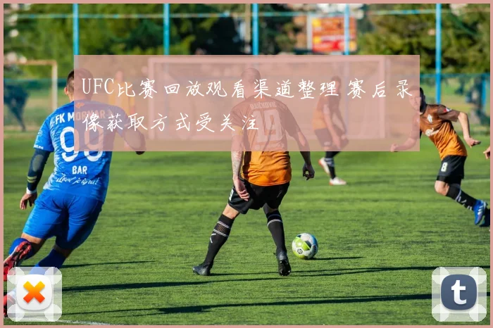 UFC比赛回放观看渠道整理 赛后录像获取方式受关注