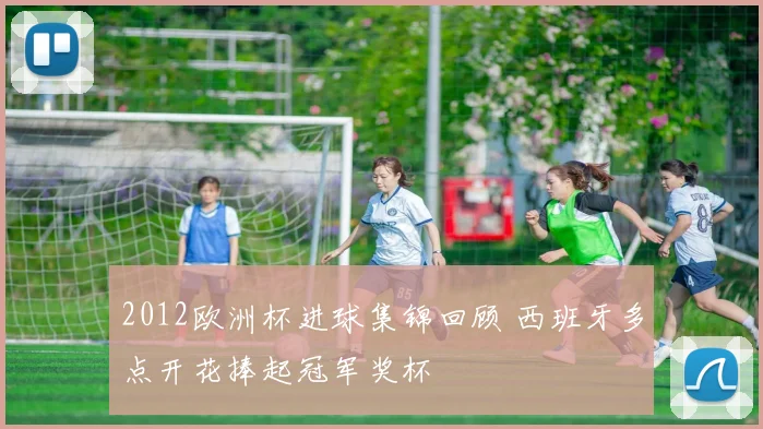 2012欧洲杯进球集锦回顾 西班牙多点开花捧起冠军奖杯