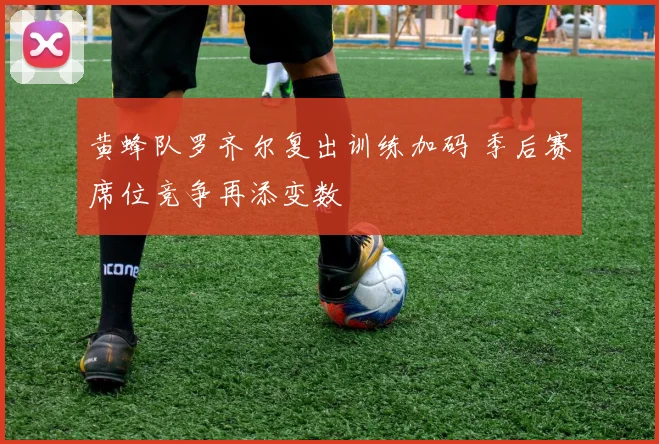黄蜂队罗齐尔复出训练加码 季后赛席位竞争再添变数